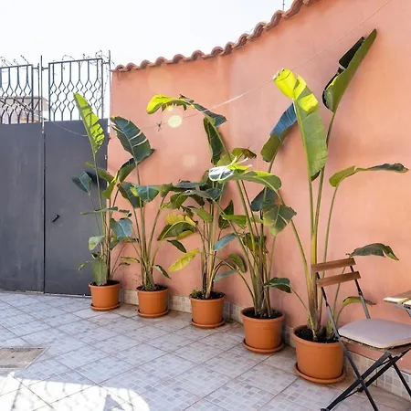 Elevincens קטאניה