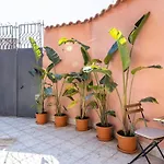Elevincens קטאניה