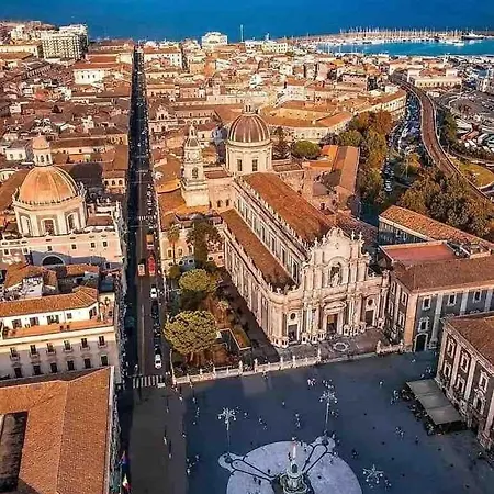 Elevincens * Catania